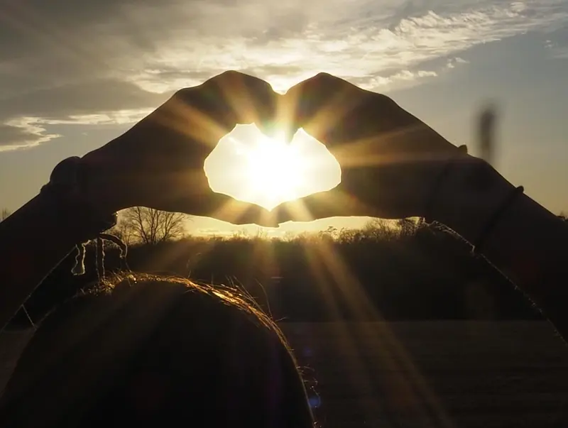 Two hands forming a heart around the setting sun